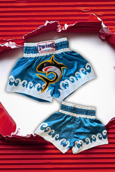 Muay Thai shortky TWINS "orca" - svetlomodré