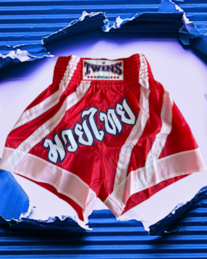Muay Thai shortky TWINS "retro stripes" - červenobiele